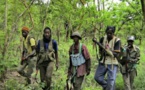 Casamance : L’armée chasse les rebelles des zones de culture et de trafic de chanvre indien