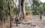 Casamance : Un jeune homme enlevé par des éléments armés, l’armée mobilisée !