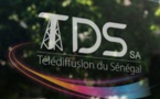 Perturbations sur le Réseau de Télédiffusion : Les éclairages de la TDS-SA