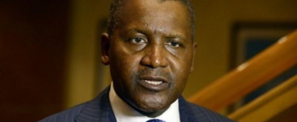 Dangote cherche une épouse