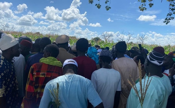 Sénégal/Agriculture : Le SYNTTAS menace d’une grève générale en 2025